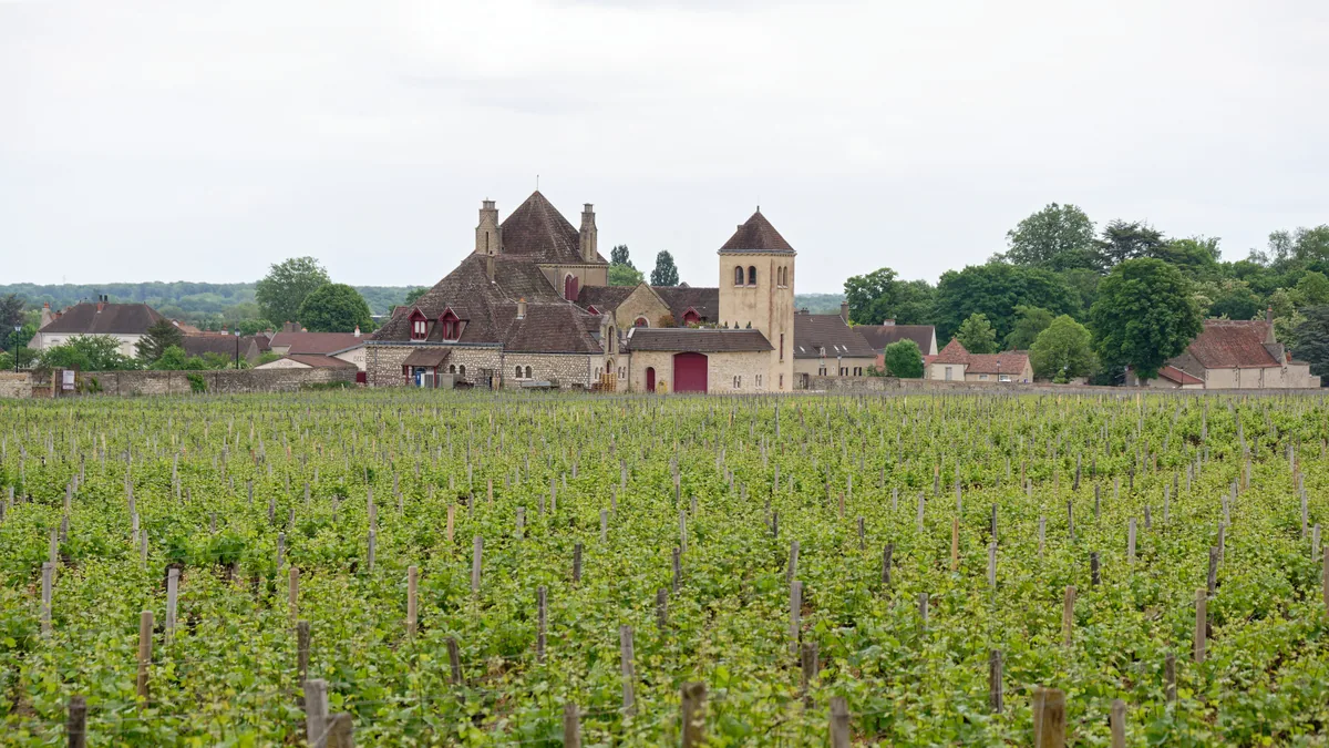 visuel secondaire sur Que faire en Bourgogne en famille