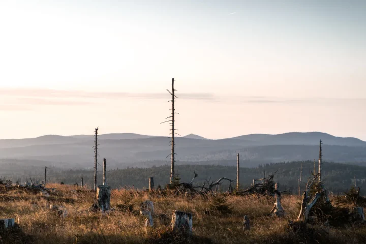 Forêt-Noire en famille : randonnées faciles, lacs et bonnes bases