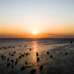 Tanzanie et Zanzibar en famille : bien doser safari et plage