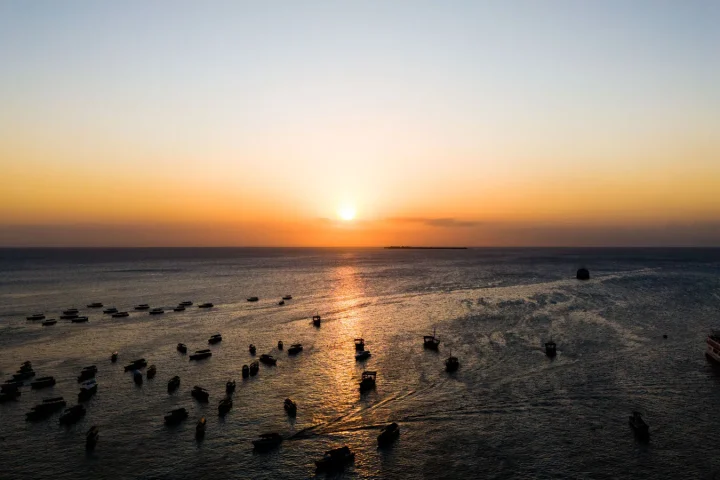 Tanzanie et Zanzibar en famille : bien doser safari et plage